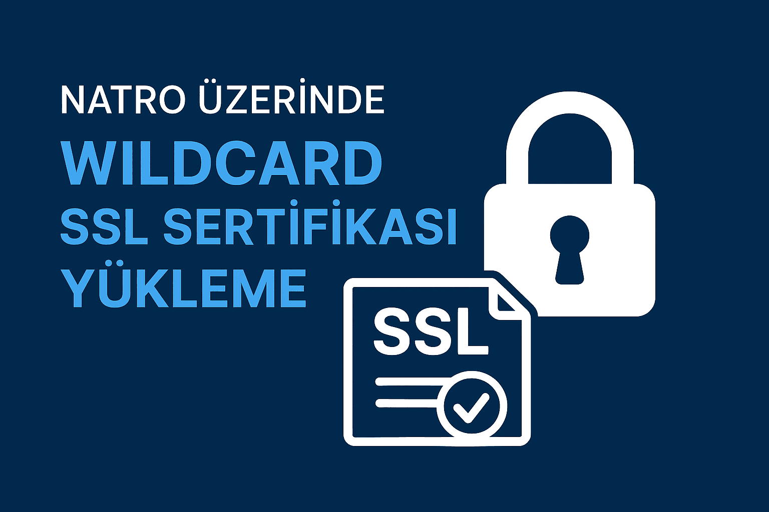 wildcard ssl oluşturma, natro
